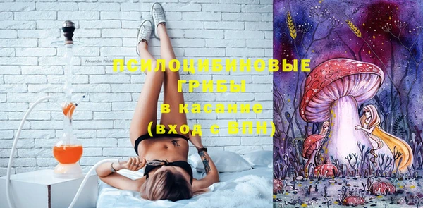 дмт Нея